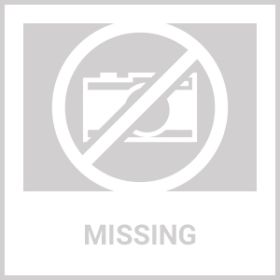 Flea And Tick Prevention Chewable Pills For Dogs And Cats Revolution Oral Flea Treatment For Pets Pest Control Natural Defense Chewables Small Ta (Option: 1pcs)